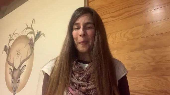 certificacion instituto wohler